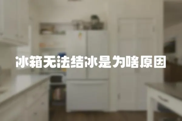 冰箱無法結冰是為啥原因
