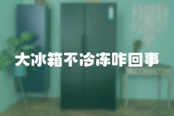 大冰箱不冷凍咋回事