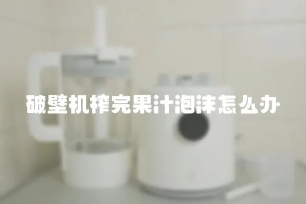 破壁機榨完果汁泡沫怎么辦