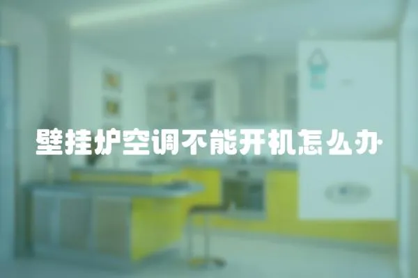 壁掛爐空調不能開機怎么辦