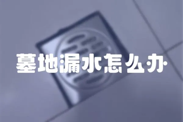 墓地漏水怎么辦