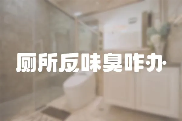 廁所反味臭咋辦