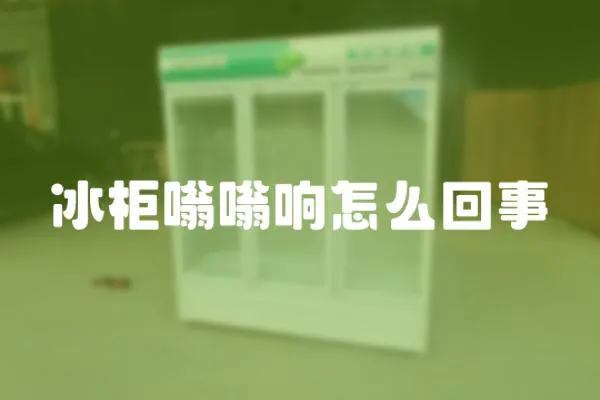 冰柜嗡嗡響怎么回事