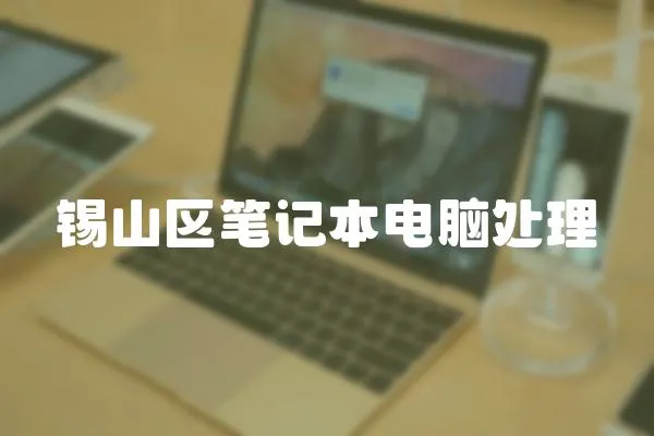錫山區筆記本電腦處理