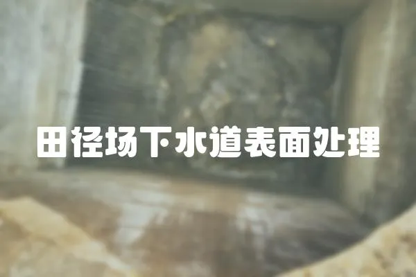 田徑場下水道表面處理