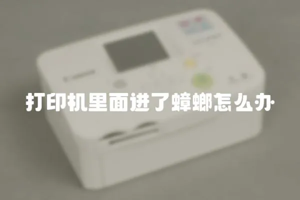 打印機里面進了蟑螂怎么辦