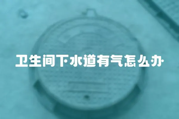 衛(wèi)生間下水道有氣怎么辦