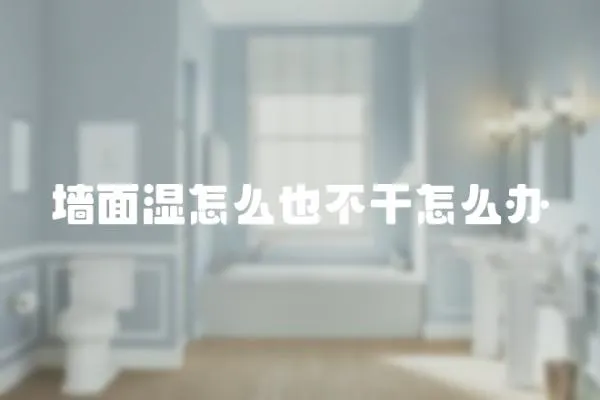 墻面濕怎么也不干怎么辦