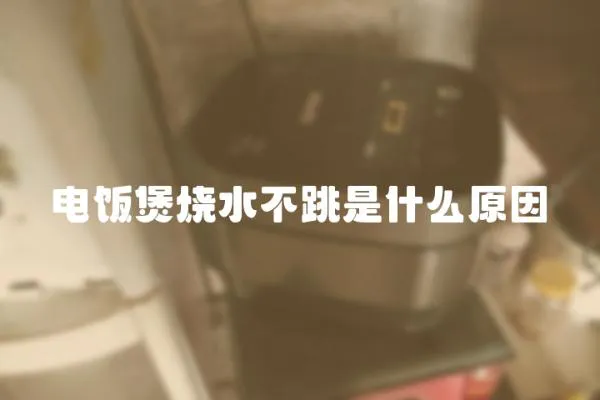 電飯煲燒水不跳是什么原因