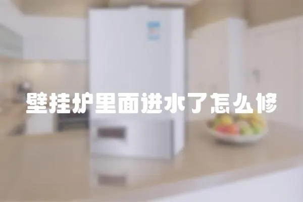 壁掛爐里面進水了怎么修