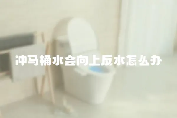沖馬桶水會向上反水怎么辦