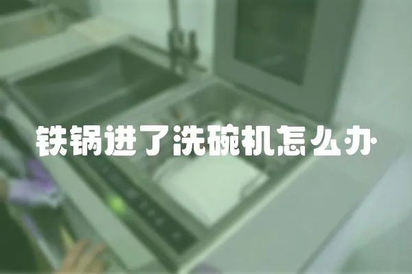 鐵鍋進(jìn)了洗碗機(jī)怎么辦