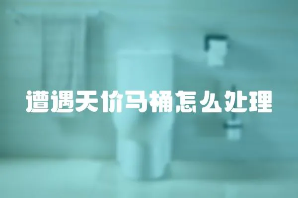 遭遇天價馬桶怎么處理