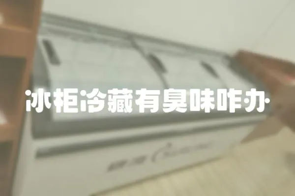 冰柜冷藏有臭味咋辦