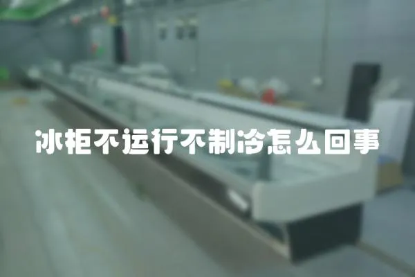 冰柜不運行不制冷怎么回事