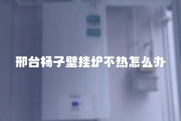 邢臺楊子壁掛爐不熱怎么辦