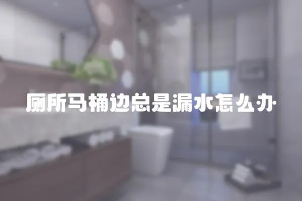 廁所馬桶邊總是漏水怎么辦