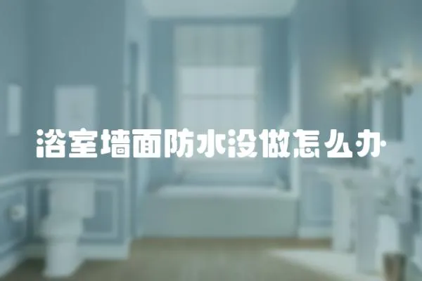 浴室墻面防水沒做怎么辦