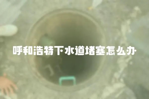 呼和浩特下水道堵塞怎么辦