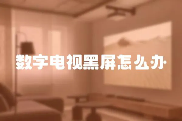 數字電視黑屏怎么辦