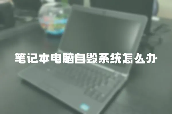 笔记本电脑自毁系统怎么办