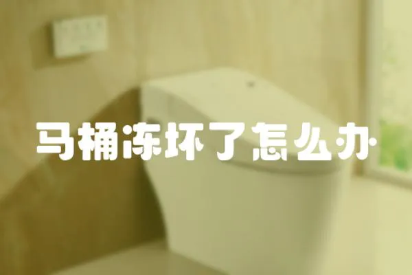 馬桶凍壞了怎么辦