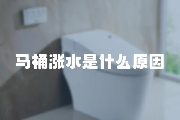 馬桶漲水是什么原因