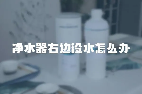 凈水器右邊沒水怎么辦