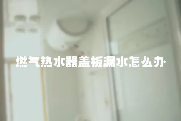 燃氣熱水器蓋板漏水怎么辦