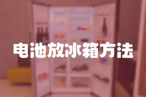 電池放冰箱方法