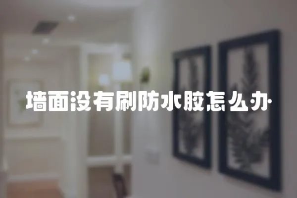 墻面沒有刷防水膠怎么辦