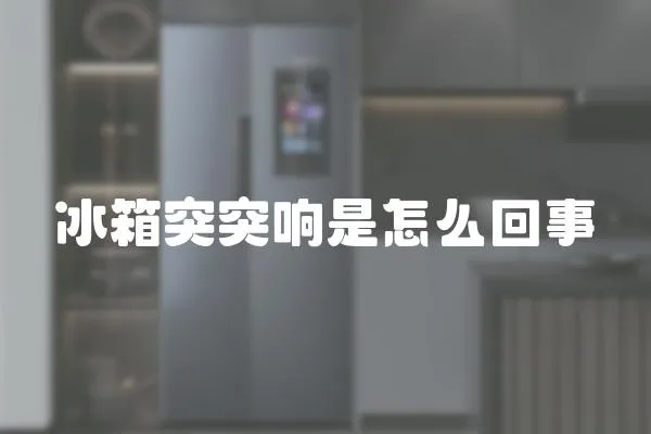 冰箱突突響是怎么回事