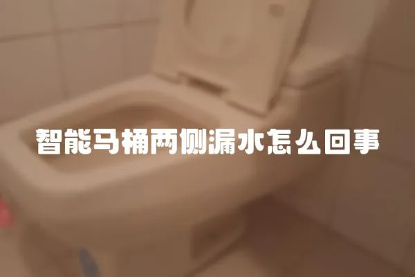 智能馬桶兩側漏水怎么回事