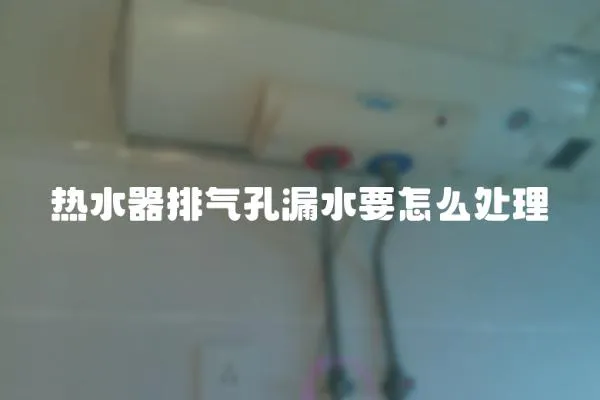 热水器排气孔漏水要怎么处理