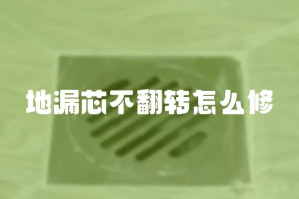 地漏芯不翻轉怎么修