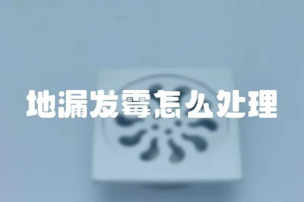 地漏發霉怎么處理