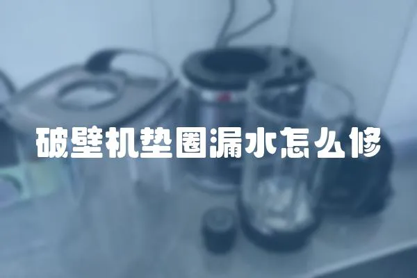 破壁機墊圈漏水怎么修