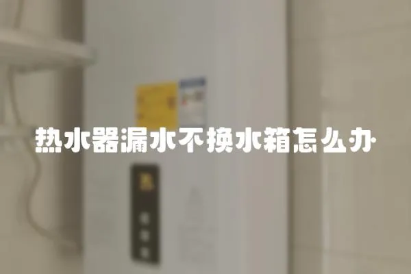 熱水器漏水不換水箱怎么辦