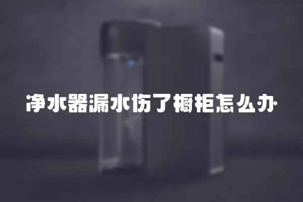 凈水器漏水傷了櫥柜怎么辦