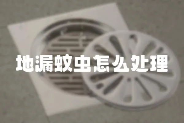 地漏蚊蟲怎么處理
