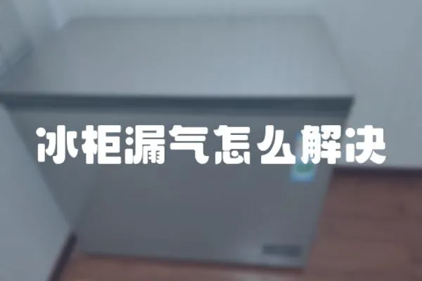 冰柜漏氣怎么解決