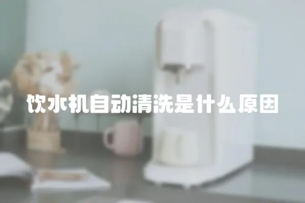 饮水机自动清洗是什么原因