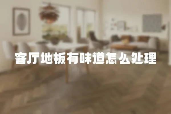 客廳地板有味道怎么處理
