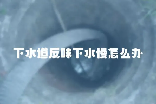 下水道反味下水慢怎么辦