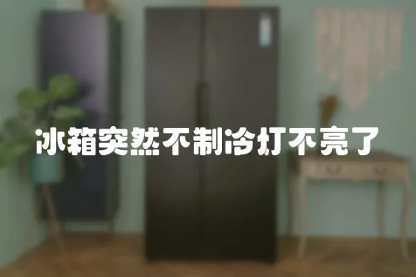 冰箱突然不制冷燈不亮了