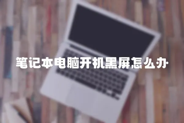 筆記本電腦開機(jī)黑屏怎么辦