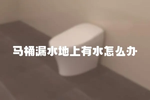 馬桶漏水地上有水怎么辦