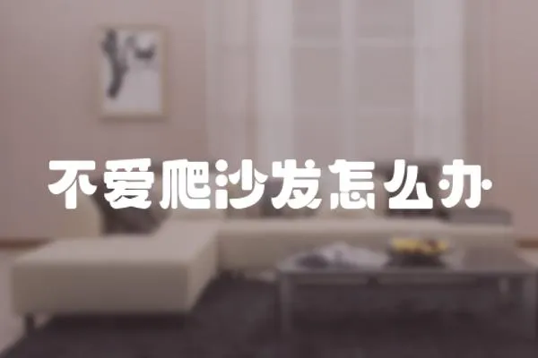 不愛爬沙發(fā)怎么辦