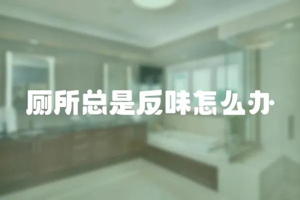 廁所總是反味怎么辦