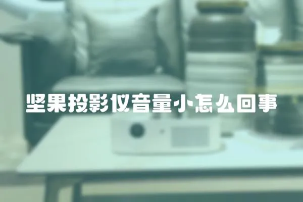 堅果投影儀音量小怎么回事